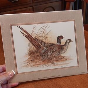 Pheasant Art Print with Beige Border 1999 Bernard Fine Art            3/25